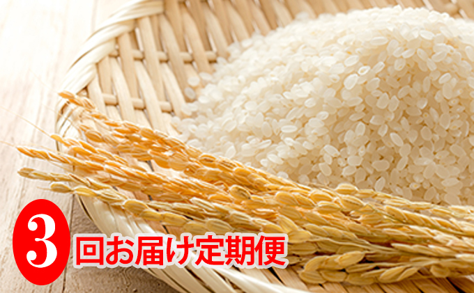 北海道共和町のふるさと納税 ◆3ヶ月連続定期便◆JAきょうわ米  ななつぼし5kg