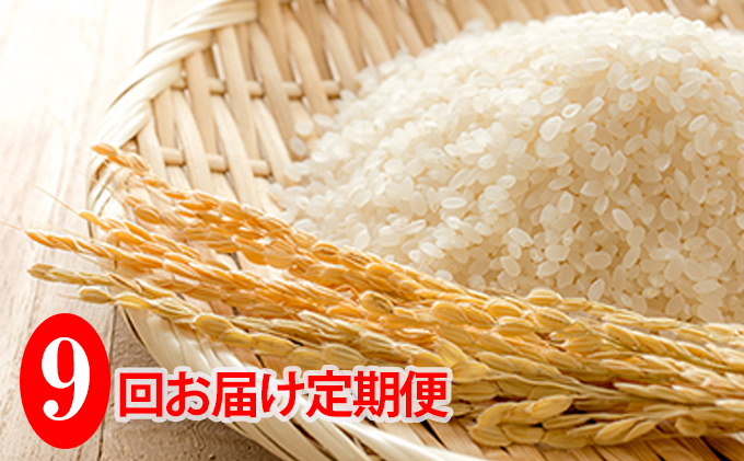 北海道共和町のふるさと納税 ◆9ヶ月連続定期便◆JAきょうわ米  ななつぼし5kg