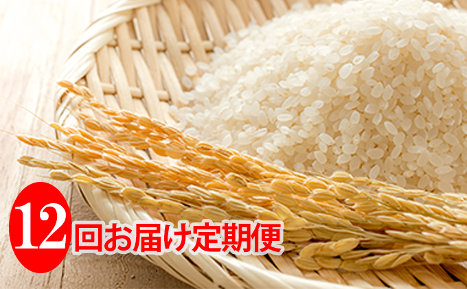 北海道共和町のふるさと納税 ◆12ヶ月連続定期便◆JAきょうわ米  ななつぼし5kg