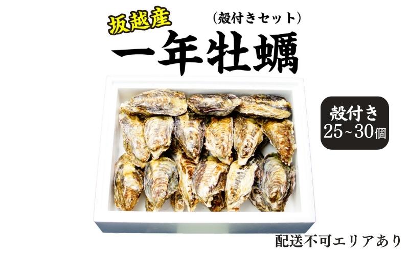 牡蠣 坂越かき 殻付き (25個〜30個) 冬牡蠣