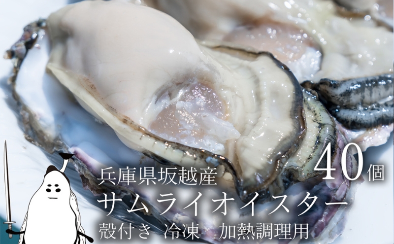 牡蠣 坂越かき 【冷凍】 殻付き 40個(加熱用)サムライオイスター 冬
