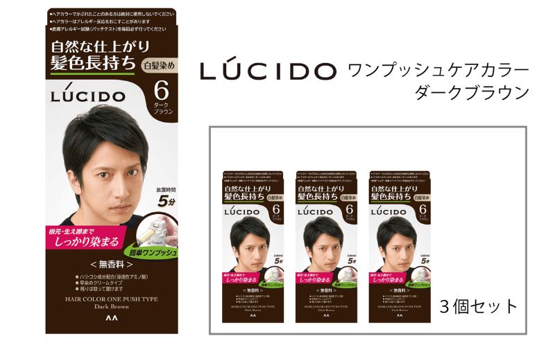 【兵庫県福崎町】マンダム ルシード ワンプッシュケアカラー ダークブラウン 3個セット MA-16 LUCIDO 毛染め 白髪 カラーリング 男性化粧品
