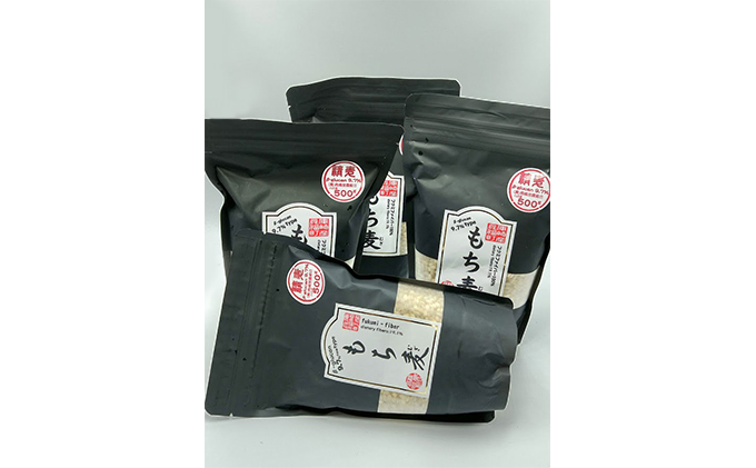 yɌ蒬znCp[tN~t@Co[i500g4܃Zbgj