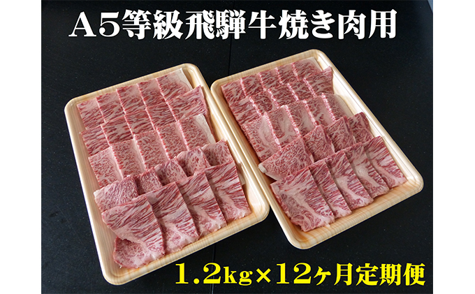 【12ヶ月定期便】A5等級 飛騨牛 焼き肉用 1.2kg ロース又は肩ロース肉