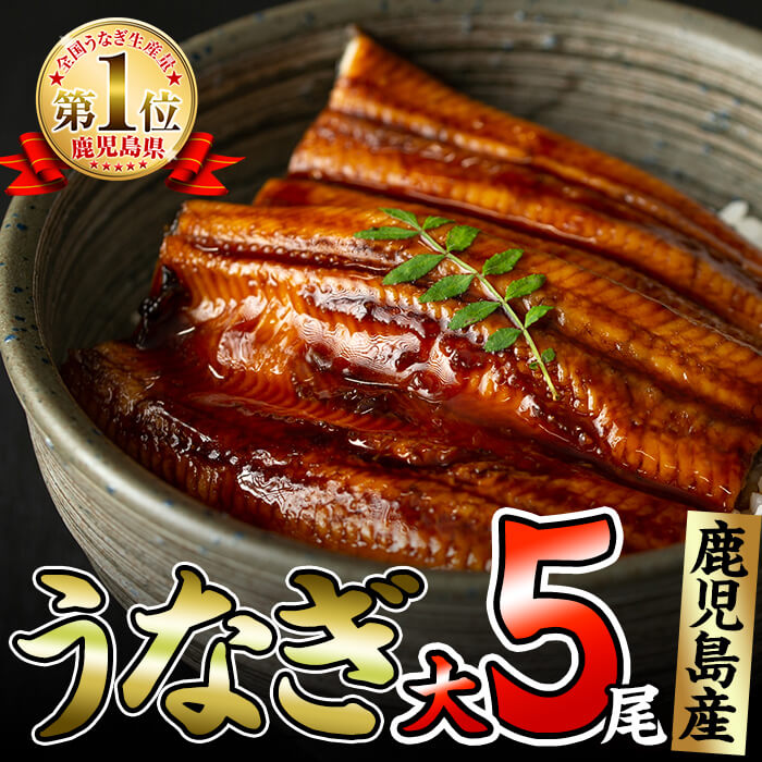 c0-044 くすだ屋の極上うなぎ(大)5尾＜計750g以上＞ / 鹿児島県志布志市 | セゾンのふるさと納税