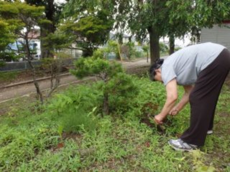 【岩沼市】空き家管理サービスB（見回り・簡易作業（ゴミ拾い、除草作業）・報告）約5時間