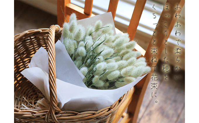 富良野 花七曜 ラグラスのブーケ ドライフラワー 北海道上富良野町 セゾンのふるさと納税