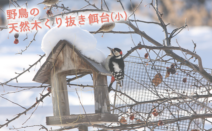 野鳥の天然木くり抜き餌台(小) 餌台 小鳥 野鳥 木材 北海道陸別町 セゾンのふるさと納税