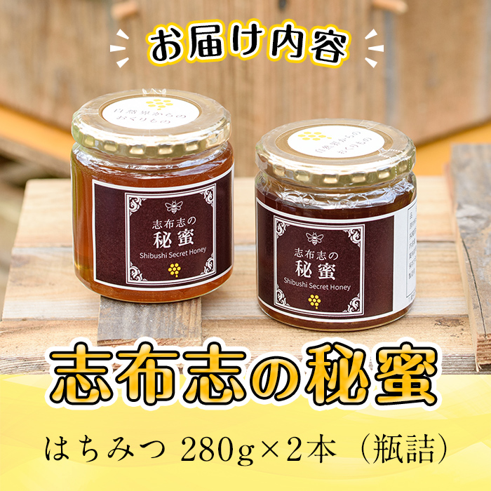 b2-003 日本みつばちの純粋蜂蜜＜志布志の秘蜜＞計560g(280g×2本)|丸山 一