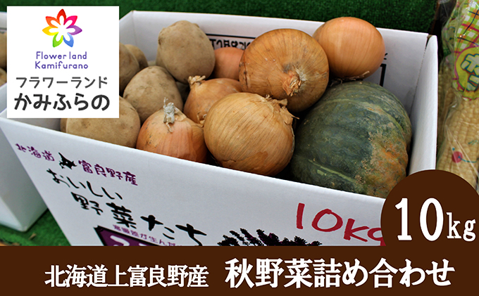 北海道上富良野町のふるさと納税 かみふらの産秋野菜（じゃがいも・玉葱・かぼちゃ）詰合せ約10kg