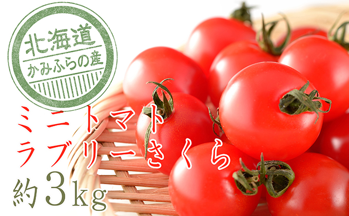 もぎたてミニトマト[ラブリーさくら]3kg≪北海道上富良野産≫