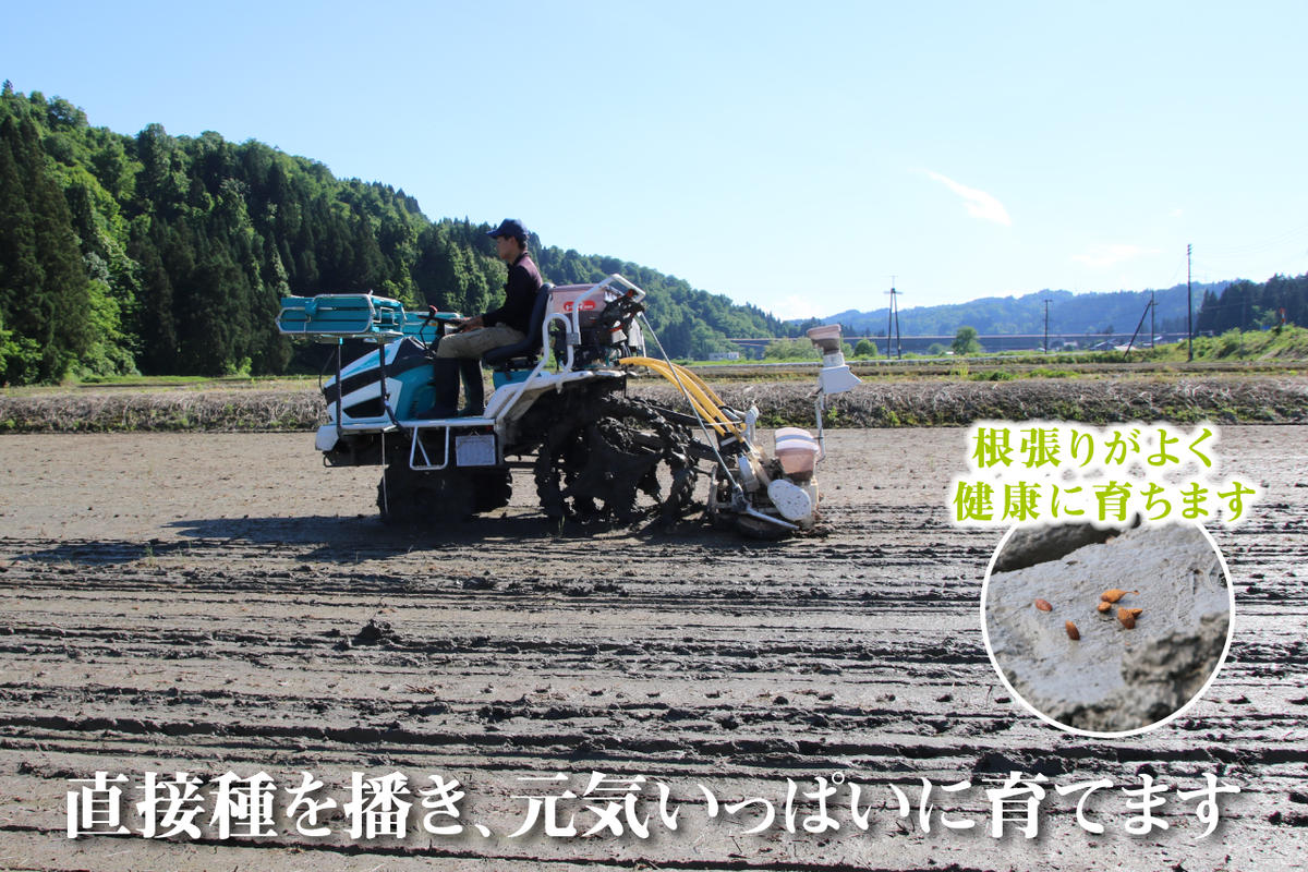 新潟県魚沼市のふるさと納税 農家直送！ 魚沼産 コシヒカリ 無洗米 2kg 6ヶ月 連続お届け （ 米 定期便 こしひかり お米 こめ コメ 魚沼産コシヒカリ 魚沼 新潟 魚沼産こしひかり おこめ 白米 定期 お楽しみ 6回 ）