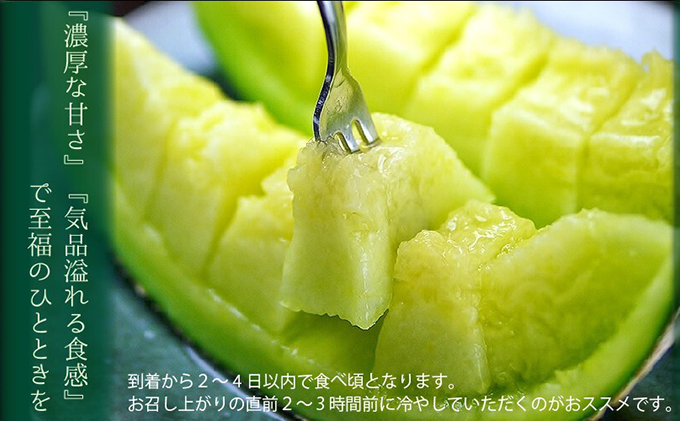 静岡県浜松市のふるさと納税 クラウンメロン　特大玉×2玉【3ヶ月定期便】【配送不可：離島】 果物類 メロン青肉