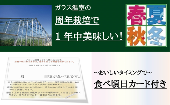 静岡県浜松市のふるさと納税 クラウンメロン　名人×1玉【3ヶ月定期便】【配送不可：離島】 果物類 メロン青肉