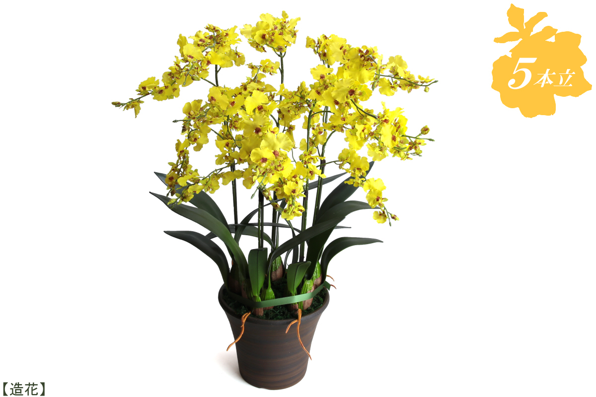 綺麗で丈夫な三河陶器で贈る光触媒オンシジューム５本立 茶色の陶器 黄色の花 H100 018 愛知県碧南市 セゾンのふるさと納税