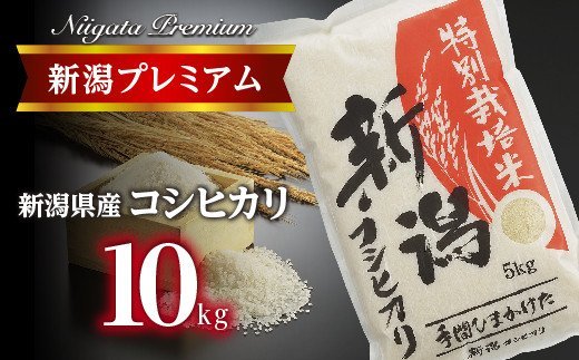 【令和3年産】新潟プレミアム 特別栽培米 