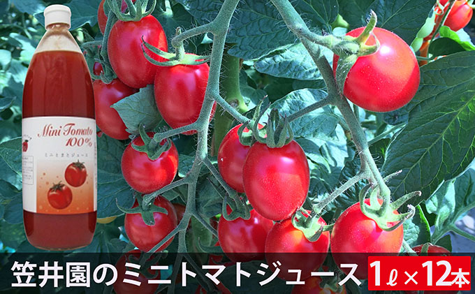 ミニトマト「アイコ」で作ったトマトジュース12本セット（ご自宅用）　クチコミで探すならふるさと納税ニッポン！