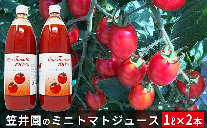 北海道仁木町のふるさと納税 ミニトマト「アイコ」で作ったトマトジュース2本セット