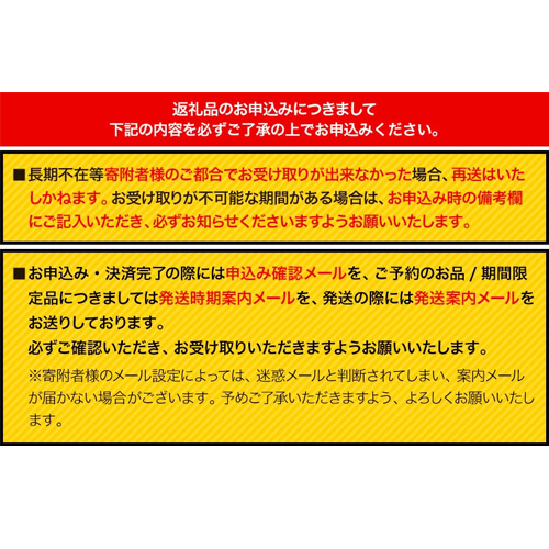 熊本県御船町 キイカスブロック 30個 木のおもちゃ 森のバランスゲーム 《30日以内に順次出荷(土日祝除く)》KEYCUSプロジェクト事務局  國武林業|