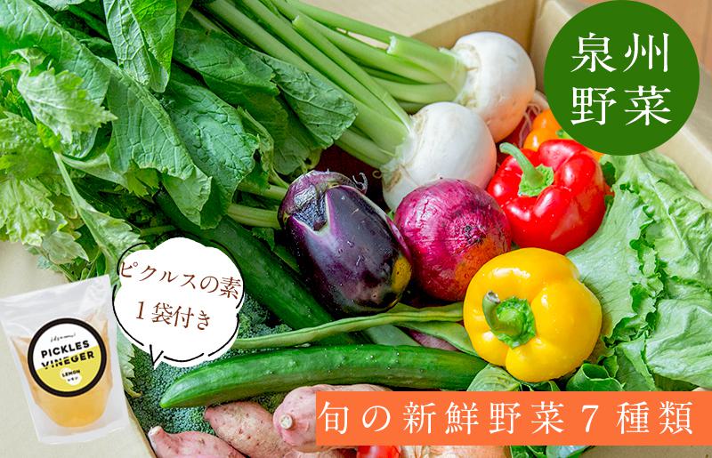 売り切れ必至！ 大阪泉州の新鮮野菜１０点セット 送料無料
