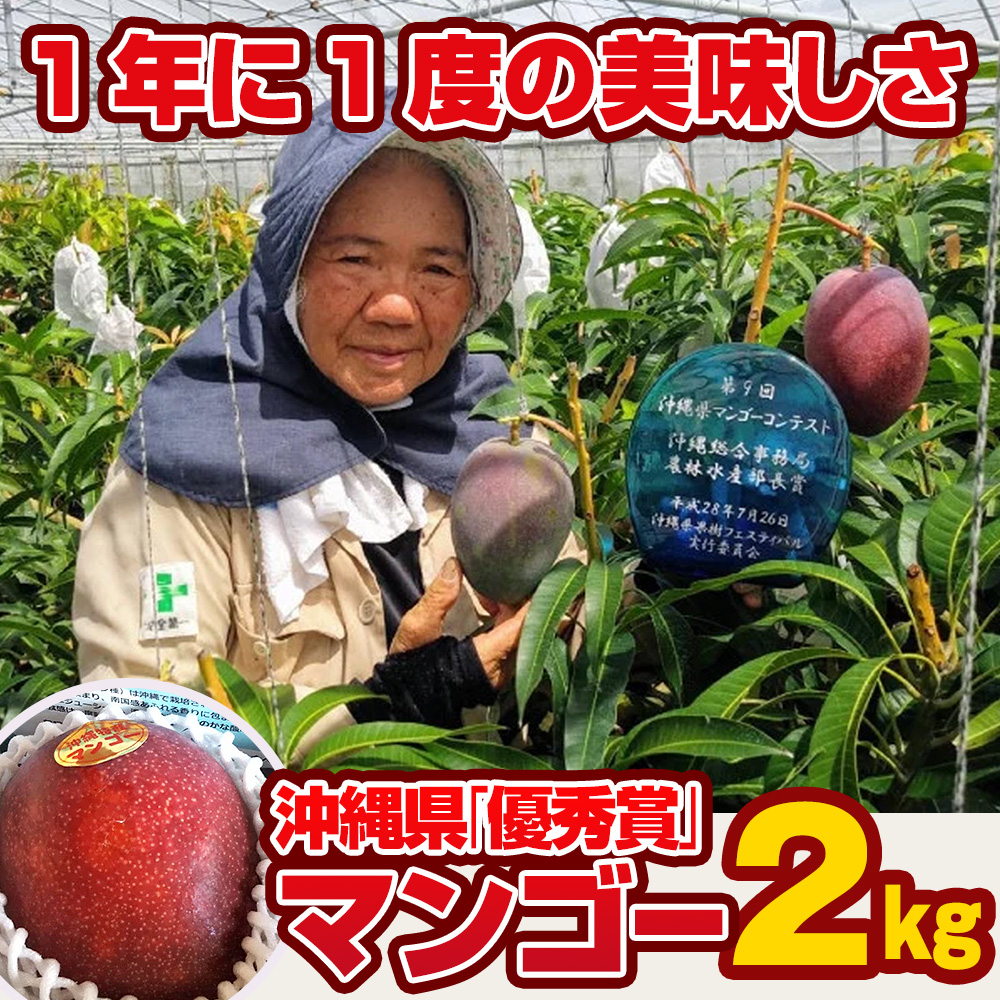 沖縄県南風原町のふるさと納税 【2025年発送】芳醇な香り　とろける食感　沖縄県「優秀賞」マンゴー2kg