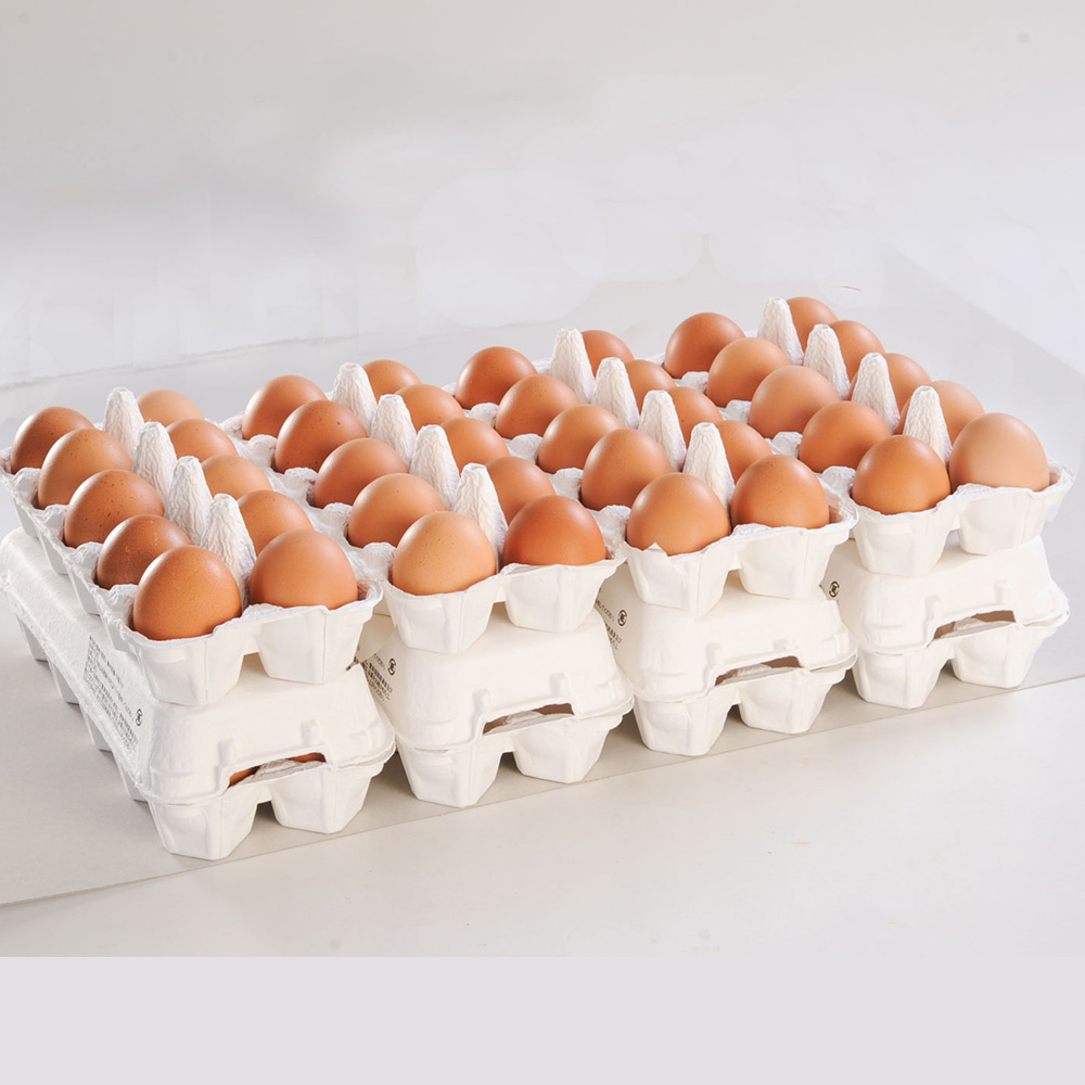 沖縄県南風原町のふるさと納税 卵の黄身が掴めるほどの新鮮さ　美ら卵養鶏場の卵【80個入り】