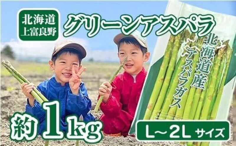 北海道上富良野町のふるさと納税 アスパラ専門農家の特選グリーンアスパラ1kg（L～2L）