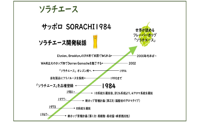 北海道上富良野町のふるさと納税 ◆定期便(全9回)◆SORACHI 1984≪ソラチ1984≫1箱（350ml×12缶）