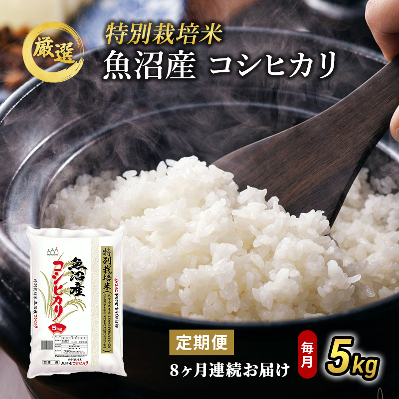 tokusai10kg.jpg