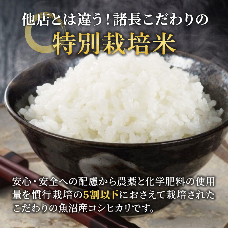 特別栽培米 お米アドバイザー厳選 魚沼産 コシヒカリ 精米 5kg 8