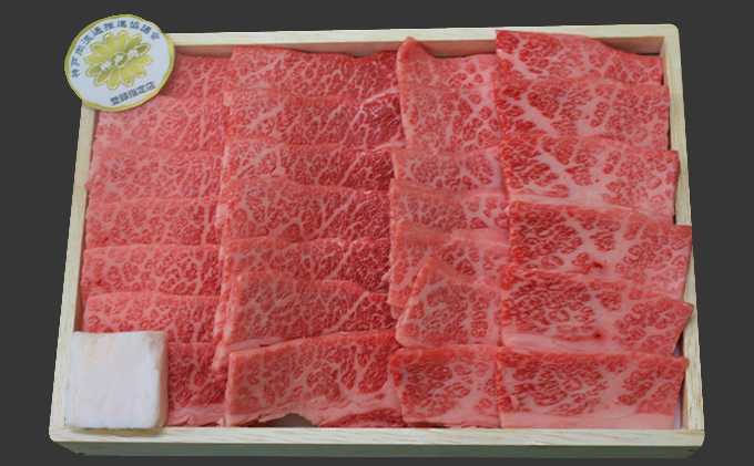 兵庫県加西市のふるさと納税 神戸牛 焼肉食べ比べ 福袋 計600g 神戸ビーフ 網焼・焼肉(かた、もも、ばら) ハッピーバッグ ニューイヤー 新年 年始特別