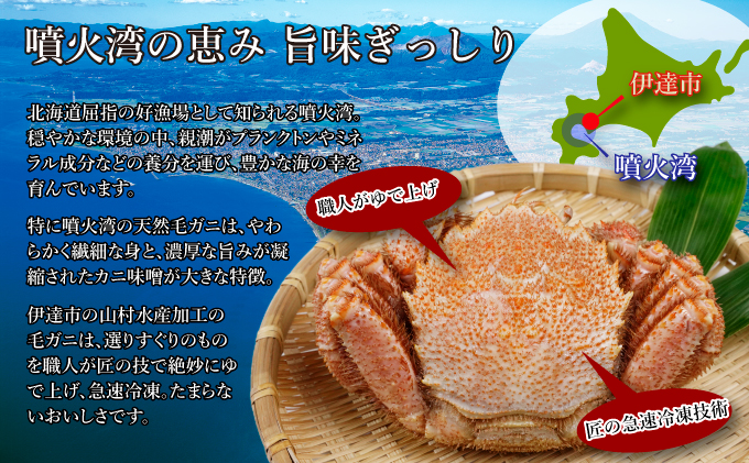 ボイル 冷凍毛蟹 ５杯セット 北海道産 海産物 かに カニ - 魚介類(加工 ...