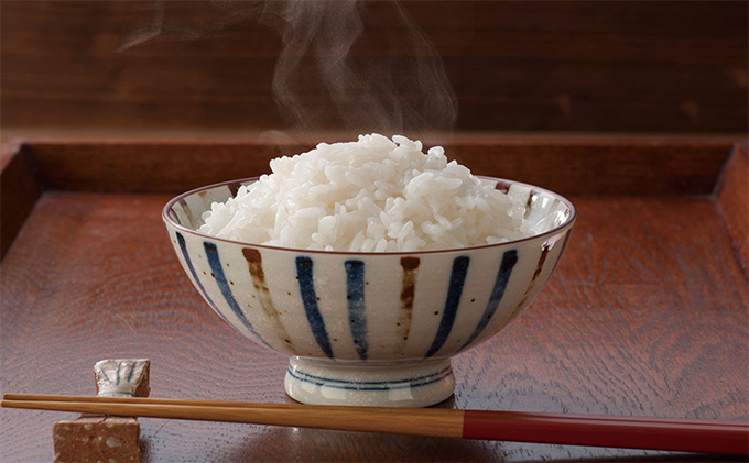北海道仁木町のふるさと納税 6ヶ月連続お届け　銀山米研究会のお米＜ななつぼし＞10kg