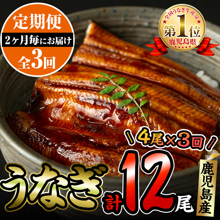 t007-004【定期便・全3回】くすだ屋の極上うなぎ(大)4尾×3回 / 鹿児島県志布志市 | セゾンのふるさと納税