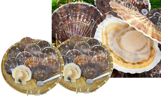 トマさんソース カレー味1 2kg 300g 4缶 岩手県大船渡市 ふるさと納税サイト ふるさとプレミアム