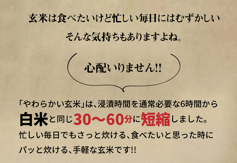 やわらかい玄米 新潟県産コシヒカリ 900g×4袋　安心安全なヤマトライス　H074-521|大和産業株式会社　TEL0570-783-502