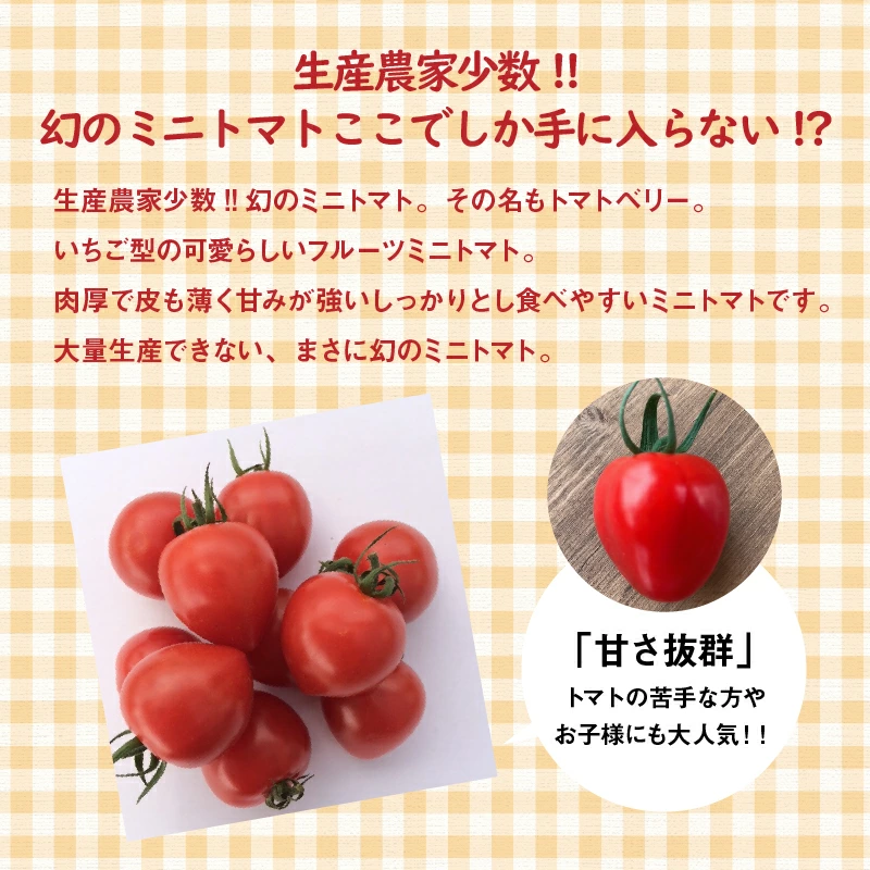 愛知県碧南市のふるさと納税 増量約2kg！甘さ抜群!!トマト嫌いでも食べられるトマトベリー 4月～6月発送 野菜ソムリエサミット 金賞 受賞 長田農園 産地直送 トマト とまと 野菜 やさい フルーツ サラダ 濃厚 甘い ご褒美 プレゼント 美容 健康 リピート多数 人気 高評価 数量限定 碧南市 H004-147