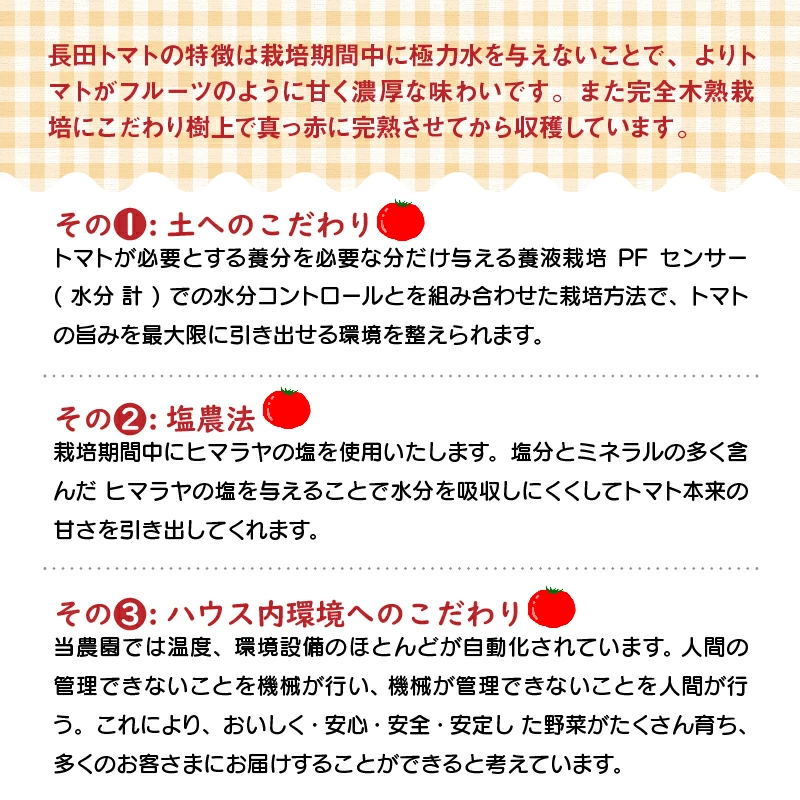 愛知県碧南市のふるさと納税 増量約2kg！甘さ抜群!!トマト嫌いでも食べられるトマトベリー 4月～6月発送 野菜ソムリエサミット 金賞 受賞 長田農園 産地直送 トマト とまと 野菜 やさい フルーツ サラダ 濃厚 甘い ご褒美 プレゼント 美容 健康 リピート多数 人気 高評価 数量限定 碧南市 H004-147