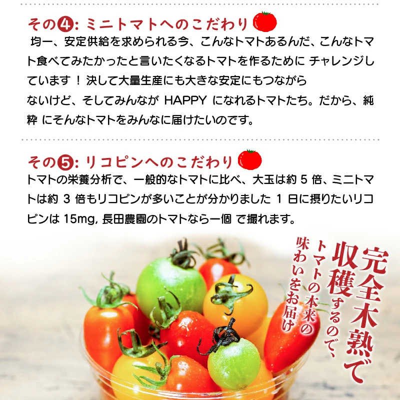 愛知県碧南市のふるさと納税 増量約2kg！甘さ抜群!!トマト嫌いでも食べられるトマトベリー 4月～6月発送 野菜ソムリエサミット 金賞 受賞 長田農園 産地直送 トマト とまと 野菜 やさい フルーツ サラダ 濃厚 甘い ご褒美 プレゼント 美容 健康 リピート多数 人気 高評価 数量限定 碧南市 H004-147