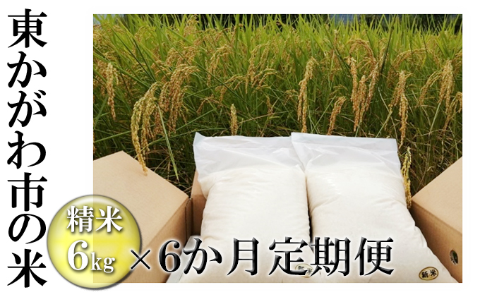 香川県東かがわ市のふるさと納税 はなまる農園 令和4年 新米予約 香川県産「コシヒカリ定期便（精米6kg×6ヵ月）」