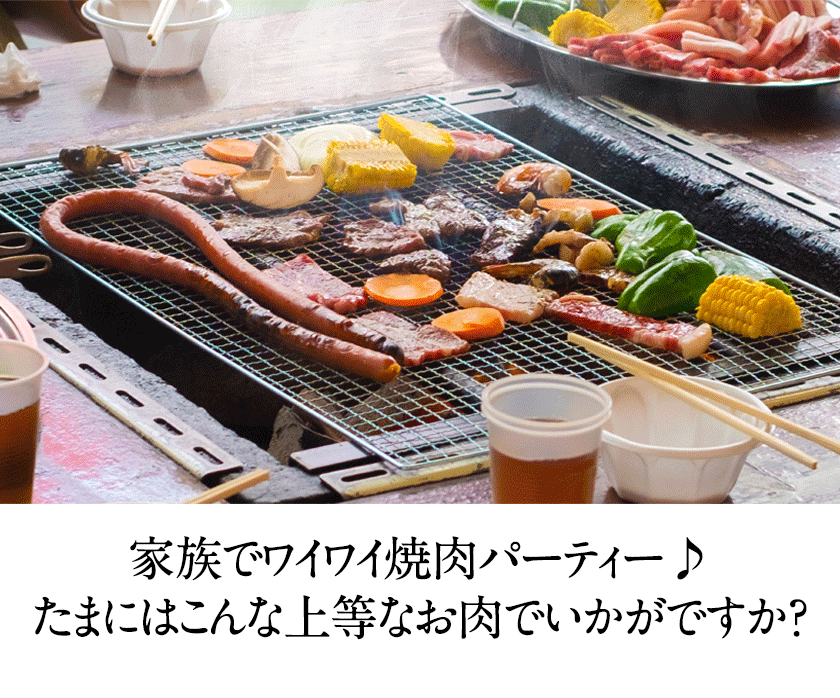 12か月定期便】 肥後のあか牛 焼き肉用 500g (計12回お届け 合計:500g×12か月) 御船屋 熊本県御船町《お申込み月の翌月から出荷開始》  / 熊本県御船町 | セゾンのふるさと納税