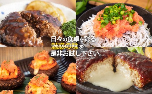 福岡県飯塚市のふるさと納税 かねふく辛子明太子&デミソースのハンバーグ2種セット【A5-301】