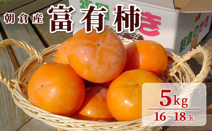 柿 富有柿 朝倉産 5kg 16玉～18玉 朝倉りんご園