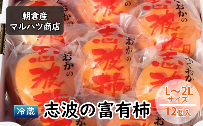 国産】デミグラスハンバーグ 約140g×20個入り※離島不可：離島（福岡県朝倉市） | ふるさと納税サイト「ふるさとプレミアム」