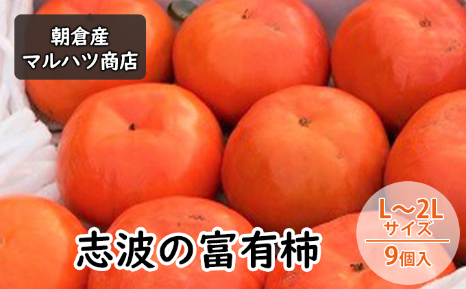柿 志波の富有柿 L〜2Lサイズ×9個入 マルハツ商店