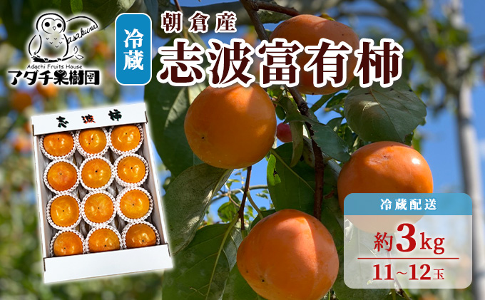 有明海苔 味海苔 大丸ボトル 8切80枚 8本セット（福岡県朝倉市） | ふるさと納税サイト「ふるさとプレミアム」