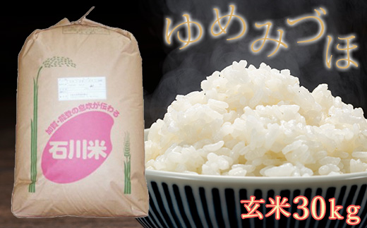 令和4年産 石川県産米 能登 コシヒカリ 30kg 玄米 - 米/穀物