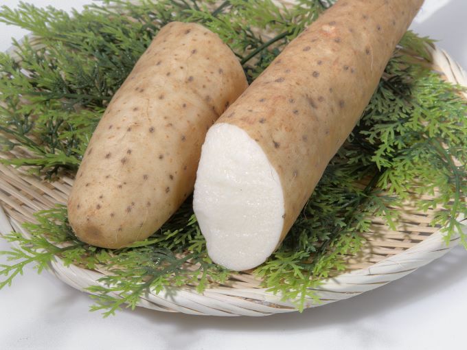 青森県鰺ヶ沢町のふるさと納税 長谷川さんが作った長芋（約3kg）