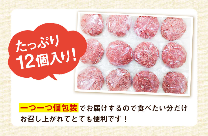 馬肉入りビッグハンバーグ150g×12個 御船屋 熊本県御船町 《90日以内に順次出荷(土日祝除く)》 国内肥育 / 熊本県御船町 | セゾンの ふるさと納税