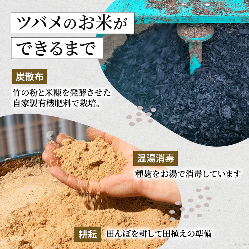 新潟県魚沼市のふるさと納税 ツバメの飛び交う棚田米 5kg袋 12ヶ月 連続お届け ( 米 定期便 お米 こめ コメ おこめ 白米 こしひかり 12回 60kg お楽しみ )